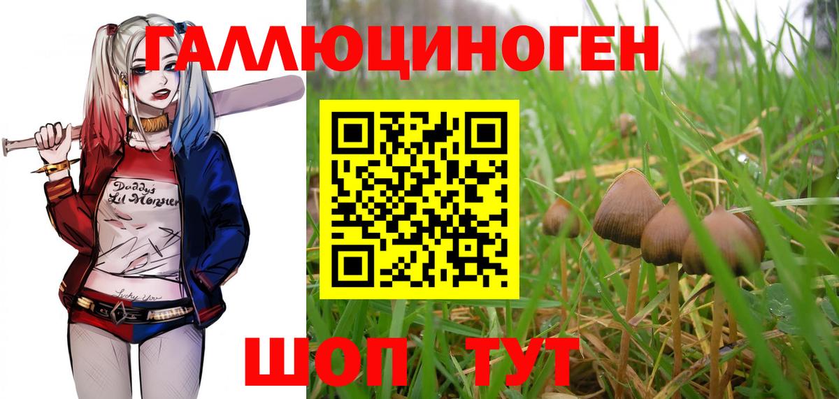 Псков  Галлюциногенные грибы Cubensis  Вход с VPN  Галлюциногенные грибы Psilocybine cubensis 